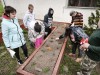 mvimg_20260424_093556