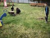 mvimg_20260424_094255