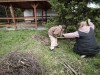 mvimg_20260424_094938